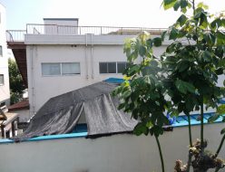 工場の屋根の暑さ対策